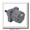 Tosion Brand China Rexroth A2FM500 A2FO500 Type 500cc 2000 rpm Bent Axis Hydraulic Motor