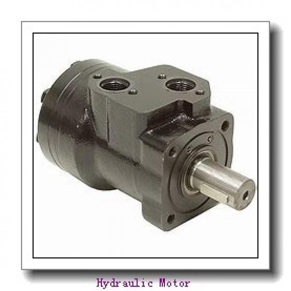 GM Type Low Speed Rpm High Torque SAI Radial Piston Saw Crane Hydraulic Motor For Winch #1 image