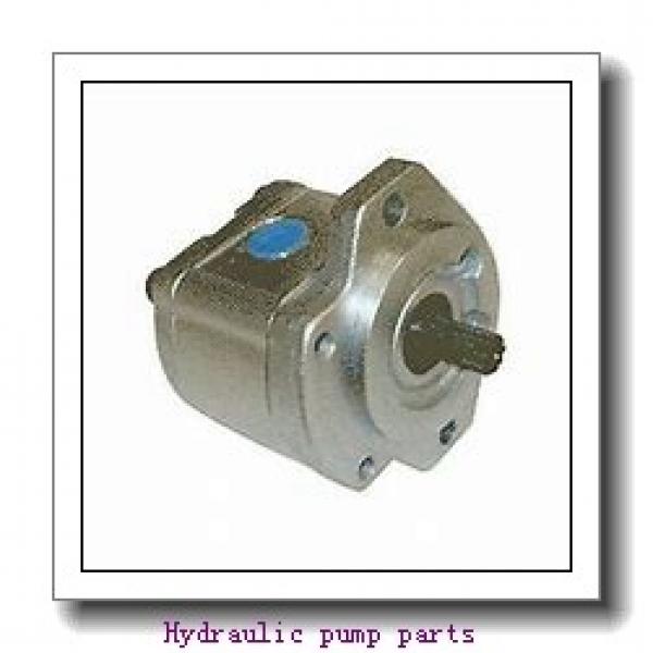 FOTON FT150 Hydraulic Pump Repair Kit Spare Parts #1 image