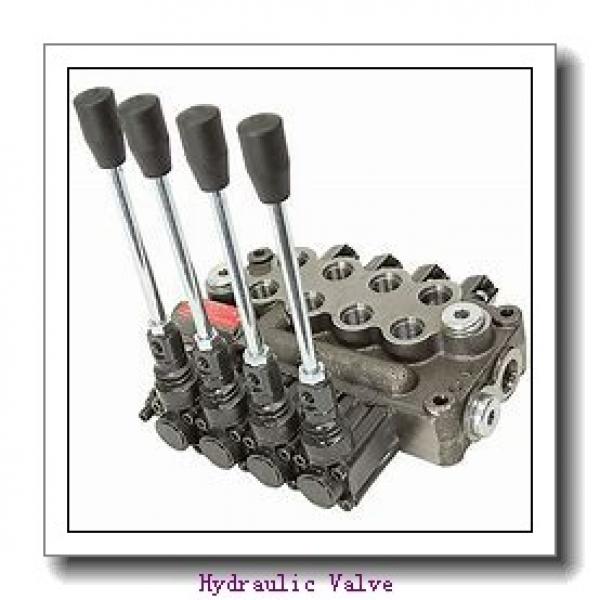 Parker D1DL,D3DL,D4L,D9L,D1DLB,D3DLB,D4LB,D9LB hydraulic manual directional valve,hydraulic valves #2 image