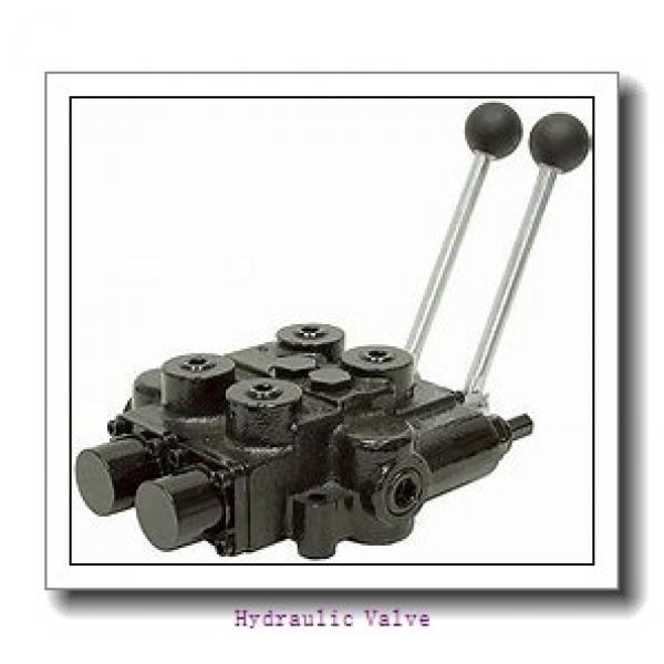 Standard or customized single hydraulic manifold block #1 image