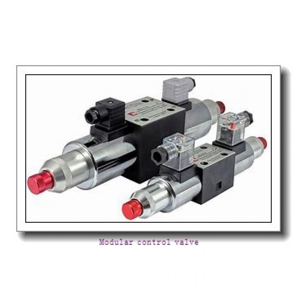 MTCV-04-W Hydraulic Modular Check and Throttle Valve #1 image