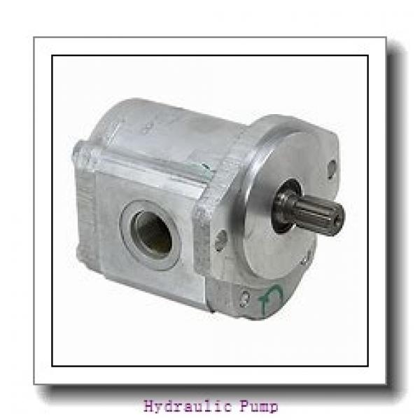 R80 Excavator R80-7 Main Pump AP2D36 R80-7 Hydraulic Pump #1 image