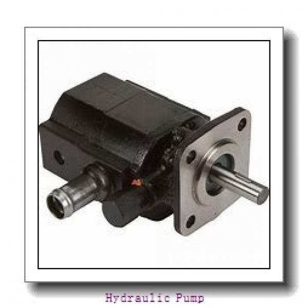 R80 Excavator R80-7 Main Pump AP2D36 R80-7 Hydraulic Pump #2 image