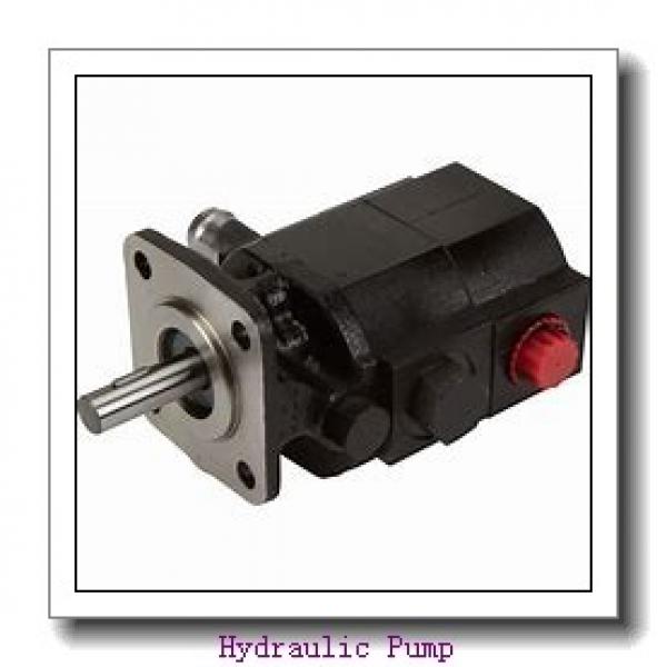 31N6-19060 K3V112DT-17ER-9N5P-L R215-7C Hydraulic Pump #1 image