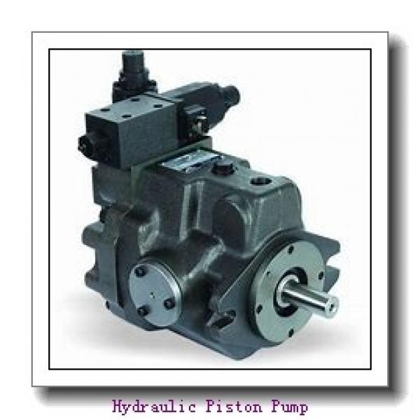 Hawe V30E of V30E-95,V30E-160,V30E-270 variable displacement axial piston pump #1 image