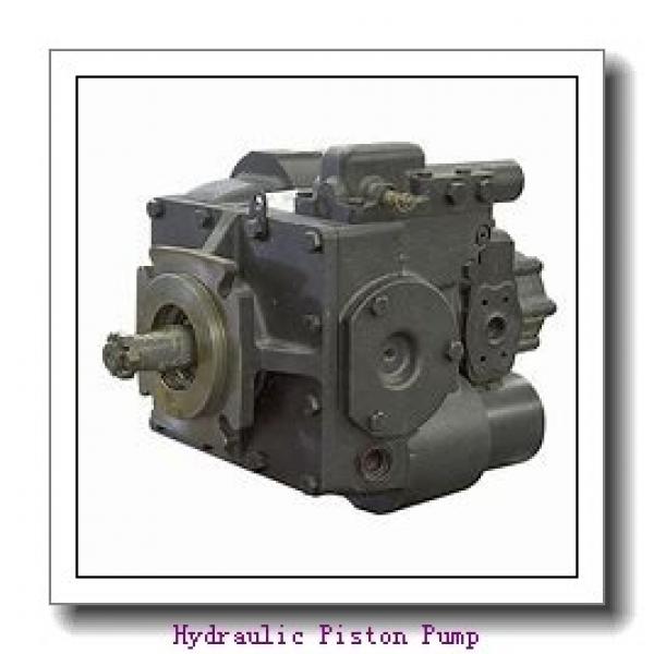 Hawe V60N of V60N-60,V60N-90,V60N-110,V60N-130 variable displacement axial piston pump #2 image